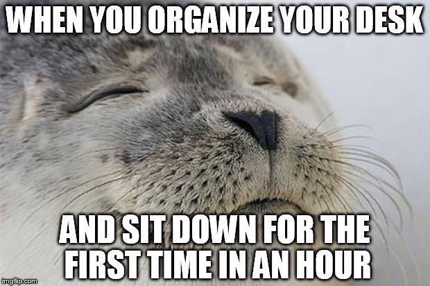 Satisfied Seal | WHEN YOU ORGANIZE YOUR DESK; AND SIT DOWN FOR THE FIRST TIME IN AN HOUR | image tagged in satisfied seal,AdviceAnimals | made w/ Imgflip meme maker