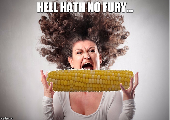 s'corn | HELL HATH NO FURY... | image tagged in women,angry,scorn | made w/ Imgflip meme maker