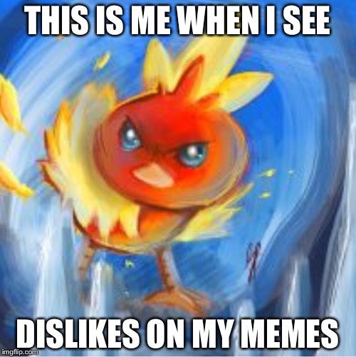 Angry Torchic | THIS IS ME WHEN I SEE; DISLIKES ON MY MEMES | image tagged in angry torchic | made w/ Imgflip meme maker