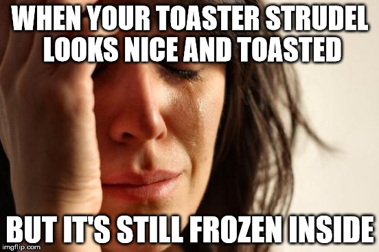 First World Problems Meme | WHEN YOUR TOASTER STRUDEL LOOKS NICE AND TOASTED; BUT IT'S STILL FROZEN INSIDE | image tagged in memes,first world problems | made w/ Imgflip meme maker