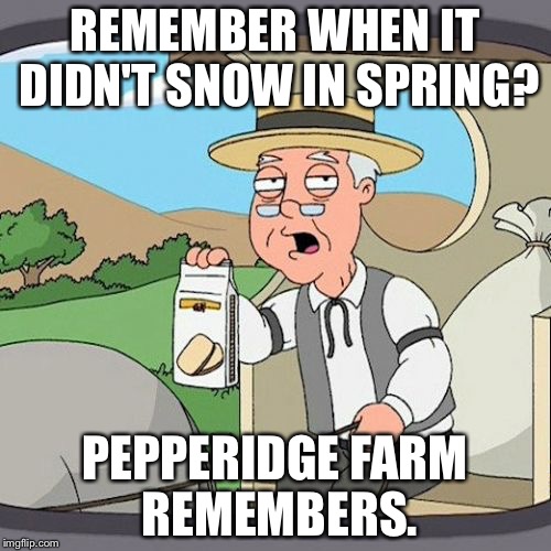 Pepperidge Farm Remembers | REMEMBER WHEN IT DIDN'T SNOW IN SPRING? PEPPERIDGE FARM REMEMBERS. | image tagged in memes,pepperidge farm remembers | made w/ Imgflip meme maker