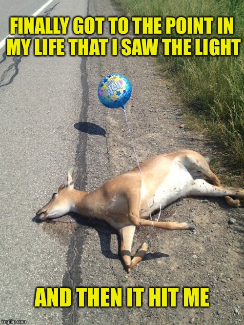 Check Out The Balloon... | FINALLY GOT TO THE POINT IN MY LIFE THAT I SAW THE LIGHT; AND THEN IT HIT ME | image tagged in deer caught in headlights,see the light,memes,funny | made w/ Imgflip meme maker