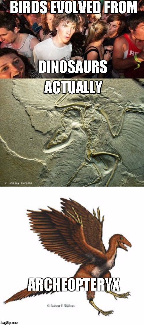 Every time you see a bird you see a dinosaur | BIRDS EVOLVED FROM; DINOSAURS; ACTUALLY; ARCHEOPTERYX | image tagged in dinosaur,memes | made w/ Imgflip meme maker