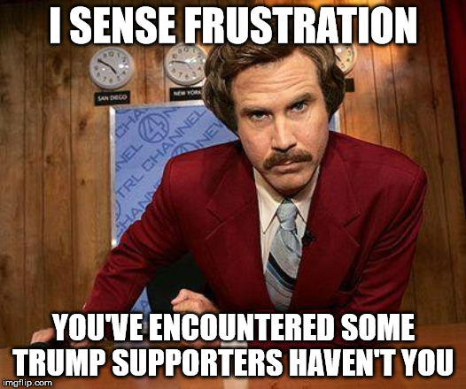 I SENSE FRUSTRATION YOU'VE ENCOUNTERED SOME TRUMP SUPPORTERS HAVEN'T YOU | made w/ Imgflip meme maker
