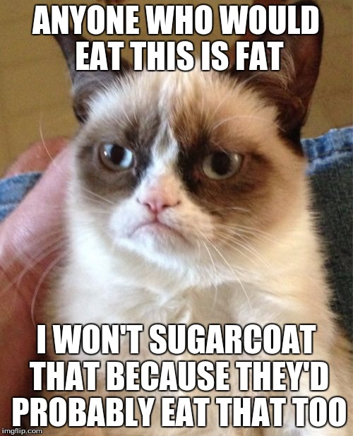 ANYONE WHO WOULD EAT THIS IS FAT I WON'T SUGARCOAT THAT BECAUSE THEY'D PROBABLY EAT THAT TOO | image tagged in memes,grumpy cat | made w/ Imgflip meme maker