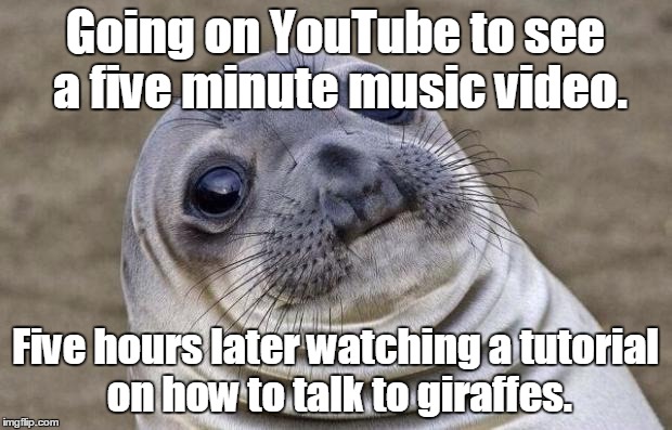 Awkward Moment Sealion | Going on YouTube to see a five minute music video. Five hours later watching a tutorial on how to talk to giraffes. | image tagged in memes,awkward moment sealion | made w/ Imgflip meme maker