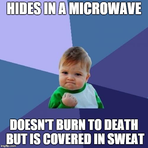 Success Kid | HIDES IN A MICROWAVE; DOESN'T BURN TO DEATH BUT IS COVERED IN SWEAT | image tagged in memes,success kid | made w/ Imgflip meme maker