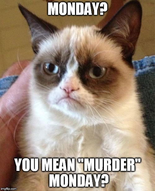 Grumpy Cat |  MONDAY? YOU MEAN "MURDER" MONDAY? | image tagged in memes,grumpy cat | made w/ Imgflip meme maker