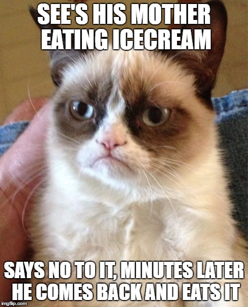 Grumpy Cat Meme | SEE'S HIS MOTHER EATING ICECREAM; SAYS NO TO IT, MINUTES LATER HE COMES BACK AND EATS IT | image tagged in memes,grumpy cat | made w/ Imgflip meme maker