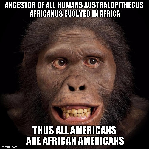 The undeniable truth about Human evolution | ANCESTOR OF ALL HUMANS AUSTRALOPITHECUS AFRICANUS EVOLVED IN AFRICA; THUS ALL AMERICANS ARE AFRICAN AMERICANS | image tagged in africanus,evolution,memes | made w/ Imgflip meme maker