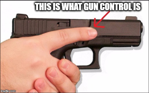 I Support Gun Control! | THIS IS WHAT GUN CONTROL IS | image tagged in meme,political,politics,gun control,gun laws | made w/ Imgflip meme maker