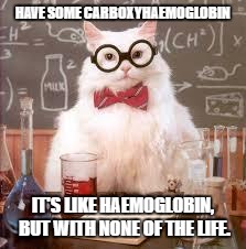 Science Cat |  HAVE SOME CARBOXYHAEMOGLOBIN; IT'S LIKE HAEMOGLOBIN, BUT WITH NONE OF THE LIFE. | image tagged in science cat | made w/ Imgflip meme maker