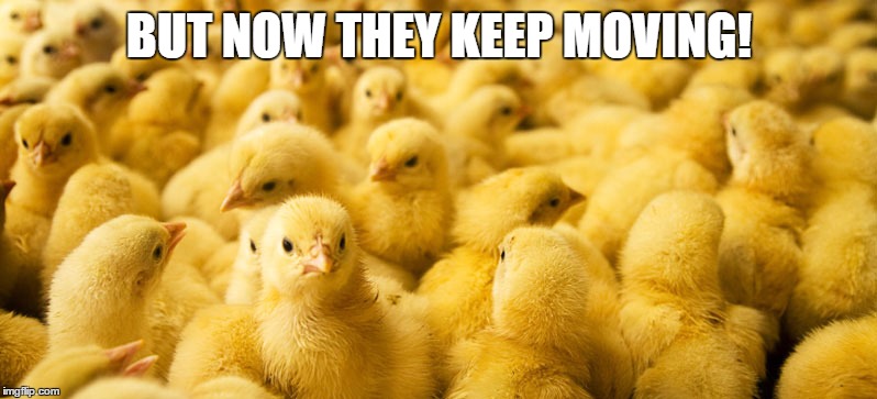 BUT NOW THEY KEEP MOVING! | made w/ Imgflip meme maker