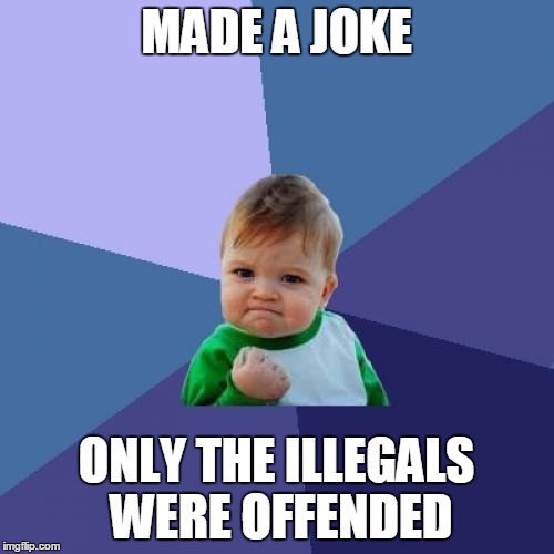 Success Kid Meme | MADE A JOKE ONLY THE ILLEGALS WERE OFFENDED | image tagged in memes,success kid | made w/ Imgflip meme maker