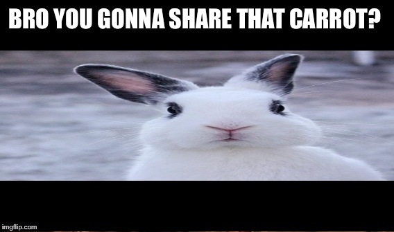 BRO YOU GONNA SHARE THAT CARROT? | made w/ Imgflip meme maker