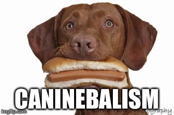 Dog eating hot dog | CANINEBALISM | image tagged in dog eating hot dog | made w/ Imgflip meme maker