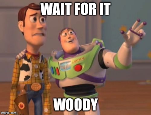 X, X Everywhere Meme | WAIT FOR IT WOODY | image tagged in memes,x x everywhere | made w/ Imgflip meme maker