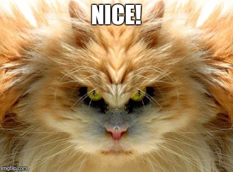 NICE! | made w/ Imgflip meme maker