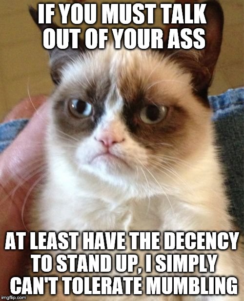 Talk out of your ass | IF YOU MUST TALK OUT OF YOUR ASS; AT LEAST HAVE THE DECENCY TO STAND UP, I SIMPLY CAN'T TOLERATE MUMBLING | image tagged in memes,grumpy cat | made w/ Imgflip meme maker