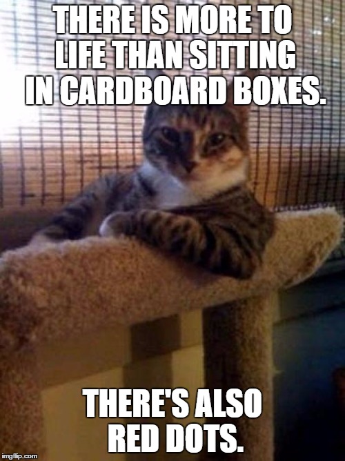 The Most Interesting Cat In The World | THERE IS MORE TO LIFE THAN SITTING IN CARDBOARD BOXES. THERE'S ALSO RED DOTS. | image tagged in memes,the most interesting cat in the world | made w/ Imgflip meme maker