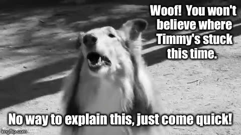 Woof!  You won't believe where Timmy's stuck this time. No way to explain this, just come quick! | made w/ Imgflip meme maker