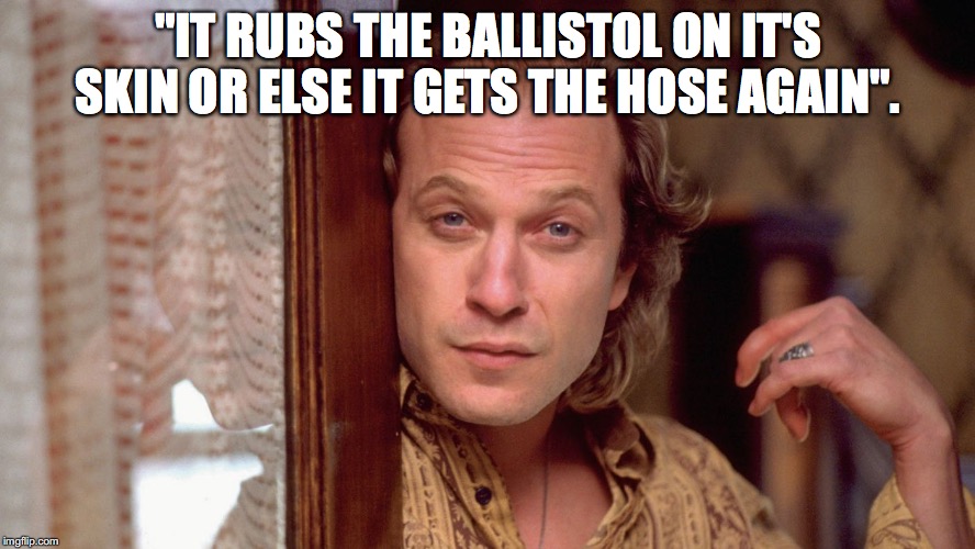 "IT RUBS THE BALLISTOL ON IT'S SKIN OR ELSE IT GETS THE HOSE AGAIN". | made w/ Imgflip meme maker