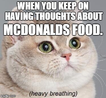 Heavy Breathing Cat | WHEN YOU KEEP ON HAVING THOUGHTS ABOUT; MCDONALDS FOOD. | image tagged in memes,heavy breathing cat | made w/ Imgflip meme maker