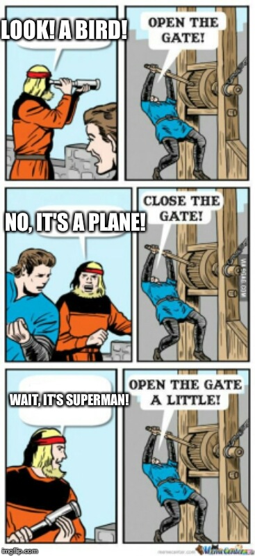 Open the gate a little | LOOK! A BIRD! NO, IT'S A PLANE! WAIT, IT'S SUPERMAN! | image tagged in open the gate a little | made w/ Imgflip meme maker