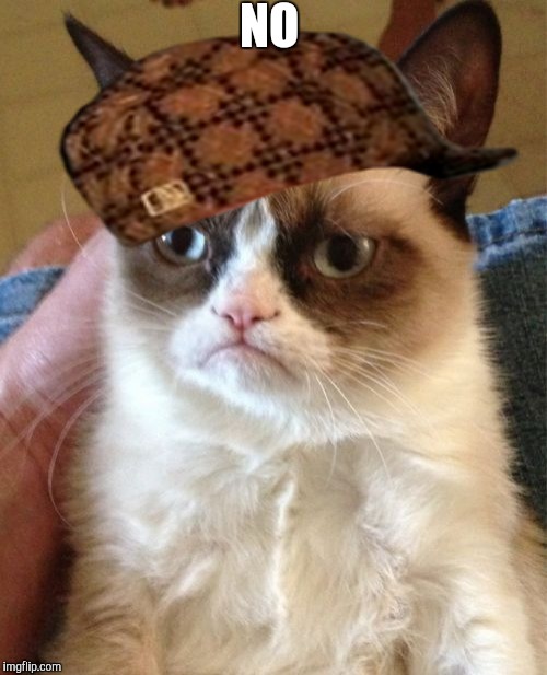 NO | image tagged in memes,grumpy cat,scumbag | made w/ Imgflip meme maker