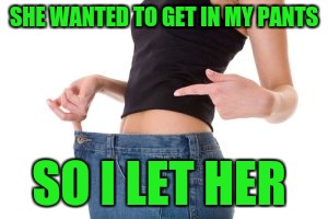 Getting in my pants | SHE WANTED TO GET IN MY PANTS; SO I LET HER | image tagged in funny memes | made w/ Imgflip meme maker