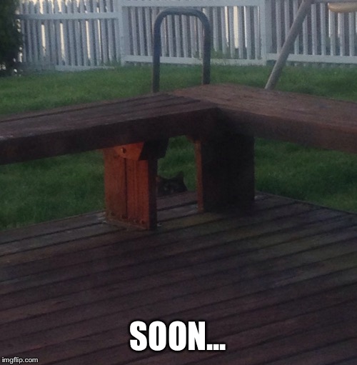 SOON... | made w/ Imgflip meme maker