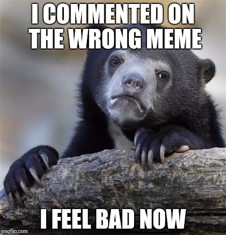 Confession Bear Meme | I COMMENTED ON THE WRONG MEME I FEEL BAD NOW | image tagged in memes,confession bear | made w/ Imgflip meme maker