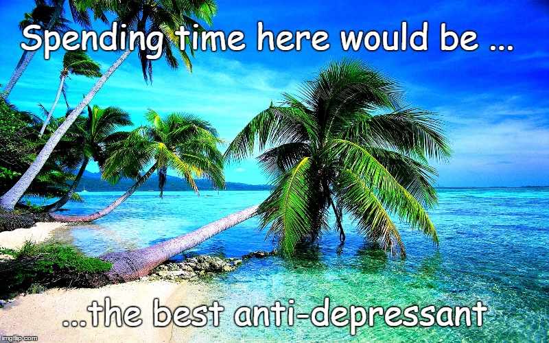 anti-depressant | Spending time here would be ... ...the best anti-depressant | image tagged in paradise | made w/ Imgflip meme maker