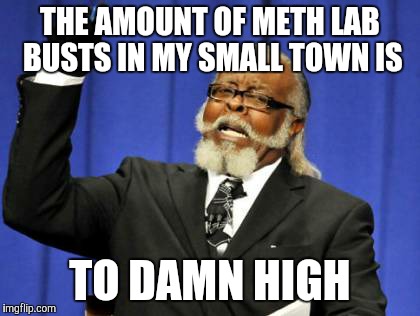 2nd lab within a few months along with other drug busts. The cops in my town are coming down hard. | THE AMOUNT OF METH LAB BUSTS IN MY SMALL TOWN IS; TO DAMN HIGH | image tagged in memes,too damn high | made w/ Imgflip meme maker