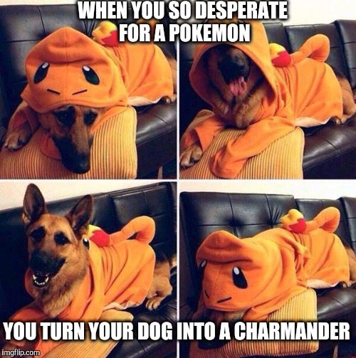 Charmander | WHEN YOU SO DESPERATE FOR A POKEMON; YOU TURN YOUR DOG INTO A CHARMANDER | image tagged in charmander | made w/ Imgflip meme maker