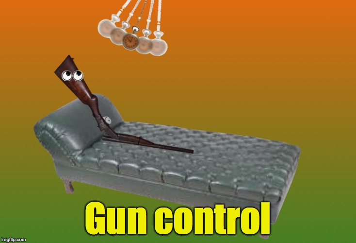 Well, why not? | Gun control | image tagged in gun control | made w/ Imgflip meme maker