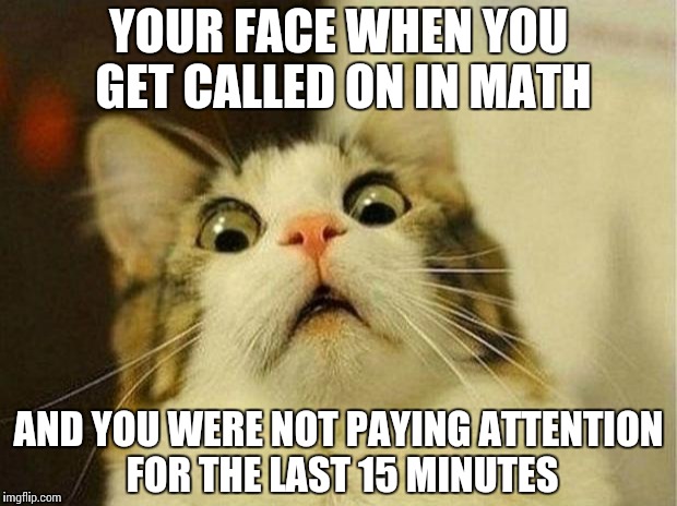 Scared Cat Meme | YOUR FACE WHEN YOU GET CALLED ON IN MATH; AND YOU WERE NOT PAYING ATTENTION FOR THE LAST 15 MINUTES | image tagged in memes,scared cat | made w/ Imgflip meme maker