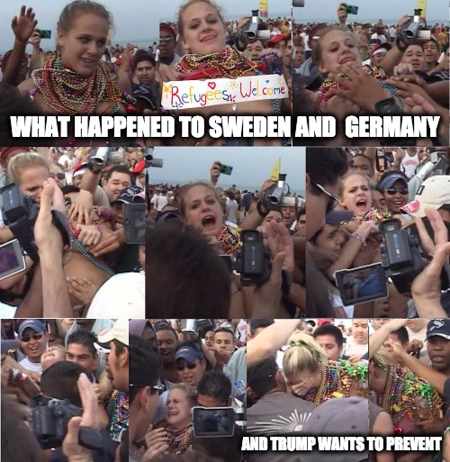 stupid girl | WHAT HAPPENED TO SWEDEN AND  GERMANY; AND TRUMP WANTS TO PREVENT | image tagged in stupid girl,immigration,muslim,grope | made w/ Imgflip meme maker