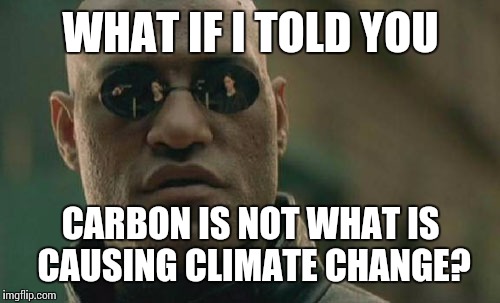 Matrix Morpheus Meme | WHAT IF I TOLD YOU CARBON IS NOT WHAT IS CAUSING CLIMATE CHANGE? | image tagged in memes,matrix morpheus | made w/ Imgflip meme maker