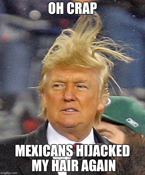 Donald Trumph hair | OH CRAP; MEXICANS HIJACKED MY HAIR AGAIN | image tagged in donald trumph hair | made w/ Imgflip meme maker
