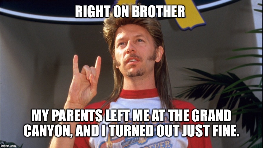 RIGHT ON BROTHER MY PARENTS LEFT ME AT THE GRAND CANYON, AND I TURNED OUT JUST FINE. | made w/ Imgflip meme maker
