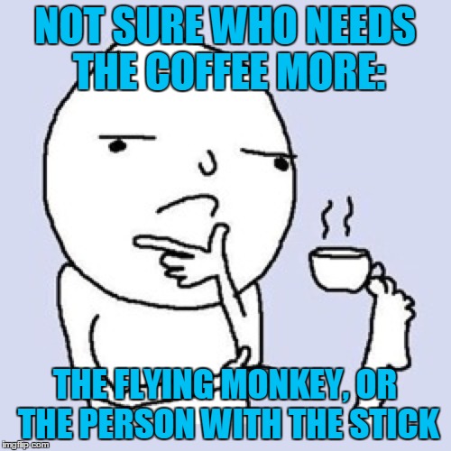 NOT SURE WHO NEEDS THE COFFEE MORE: THE FLYING MONKEY, OR THE PERSON WITH THE STICK | made w/ Imgflip meme maker