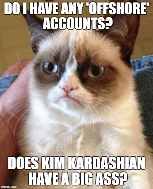 Grumpy Cat Meme | DO I HAVE ANY 'OFFSHORE' ACCOUNTS? DOES KIM KARDASHIAN HAVE A BIG ASS? | image tagged in memes,grumpy cat | made w/ Imgflip meme maker