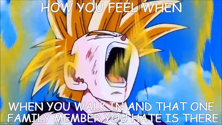 gohan super saiyan 2 | HOW YOU FEEL WHEN; WHEN YOU WALK IN AND THAT ONE FAMILY MEMBER YOU HATE IS THERE | image tagged in gohan super saiyan 2 | made w/ Imgflip meme maker
