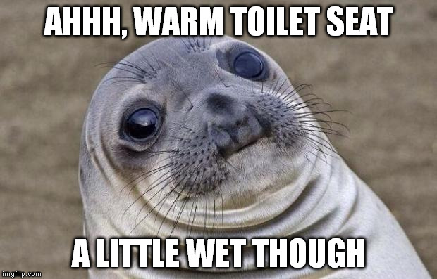 Awkward Moment Sealion Meme | AHHH, WARM TOILET SEAT A LITTLE WET THOUGH | image tagged in memes,awkward moment sealion | made w/ Imgflip meme maker