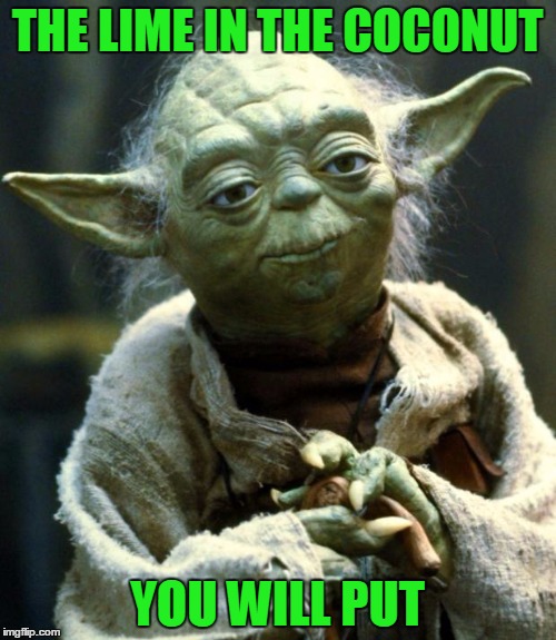 Star Wars Yoda Meme | THE LIME IN THE COCONUT YOU WILL PUT | image tagged in memes,star wars yoda | made w/ Imgflip meme maker