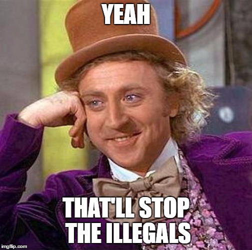 Creepy Condescending Wonka Meme | YEAH THAT'LL STOP THE ILLEGALS | image tagged in memes,creepy condescending wonka | made w/ Imgflip meme maker