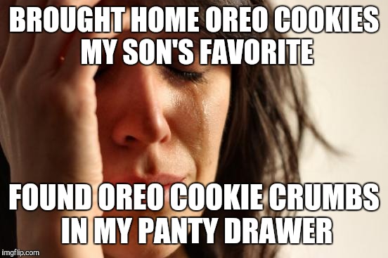 Cookies | BROUGHT HOME OREO COOKIES MY SON'S FAVORITE; FOUND OREO COOKIE CRUMBS IN MY PANTY DRAWER | image tagged in memes,first world problems | made w/ Imgflip meme maker