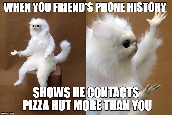 Persian Cat Room Guardian | WHEN YOU FRIEND'S PHONE HISTORY; SHOWS HE CONTACTS PIZZA HUT MORE THAN YOU | image tagged in persian cat room guardian | made w/ Imgflip meme maker