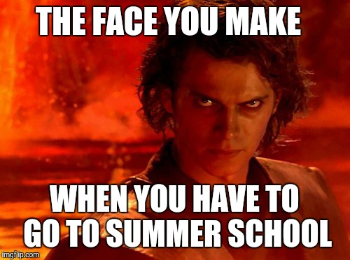 You Underestimate My Power | THE FACE YOU MAKE; WHEN YOU HAVE TO GO TO SUMMER SCHOOL | image tagged in memes,you underestimate my power | made w/ Imgflip meme maker